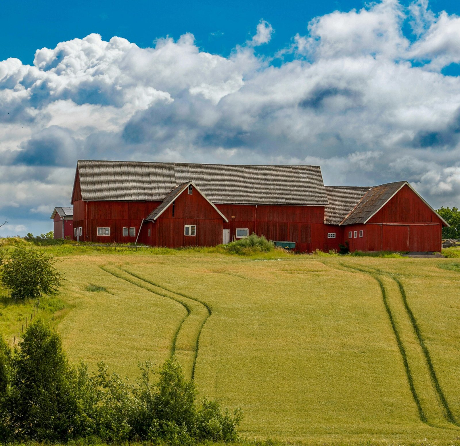 Modern Farmhouse Design: Avoid Costly Style Mistakes and Build Smarter